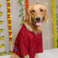 15 Furries Red Dog Sherwani