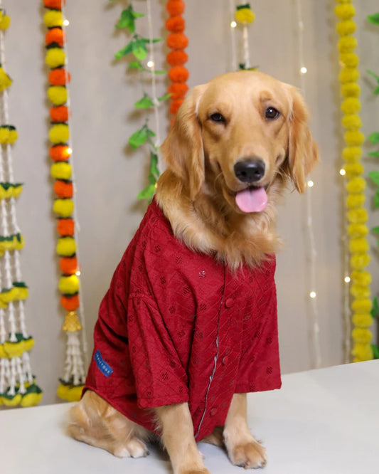 15 Furries Red Dog Sherwani