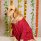 15 Furries Red Dog Sherwani