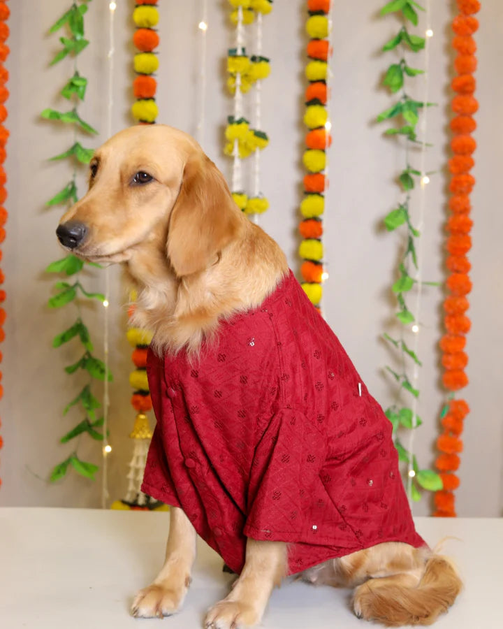 15 Furries Red Dog Sherwani