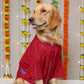 15 Furries Red Dog Sherwani