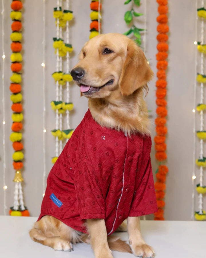15 Furries Red Dog Sherwani