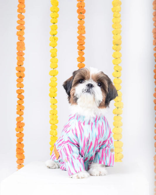 15 Furries Phataka Dog Kurta