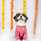 15 Furries Khushi Dog Kurta