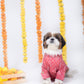 15 Furries Khushi Dog Kurta