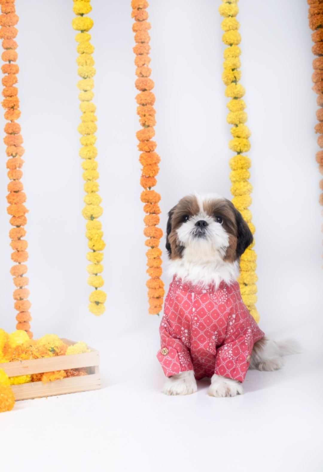 15 Furries Khushi Dog Kurta
