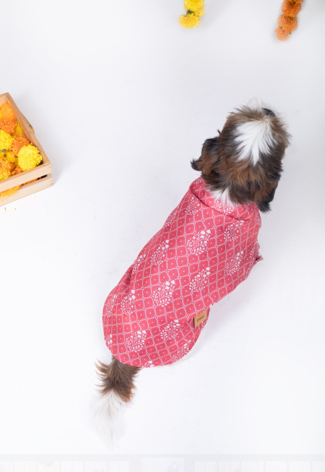15 Furries Khushi Dog Kurta