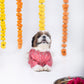 15 Furries Khushi Dog Kurta