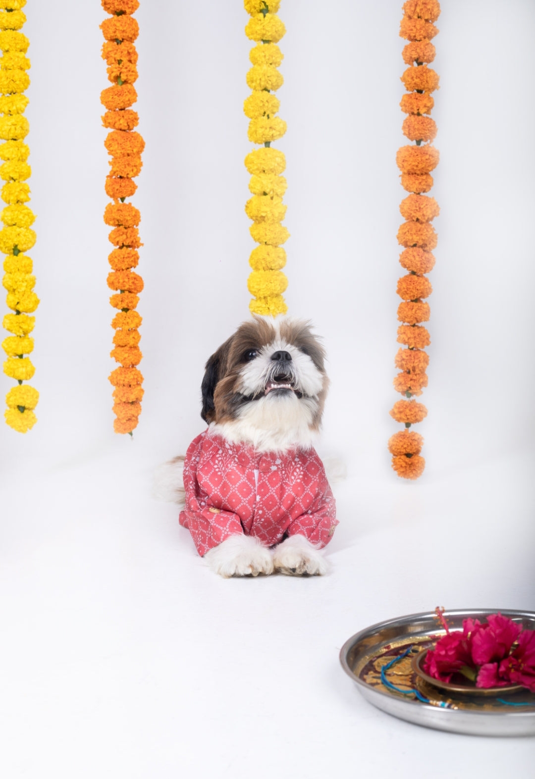 15 Furries Khushi Dog Kurta
