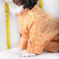 15 Furries Haldi Dog Kurta