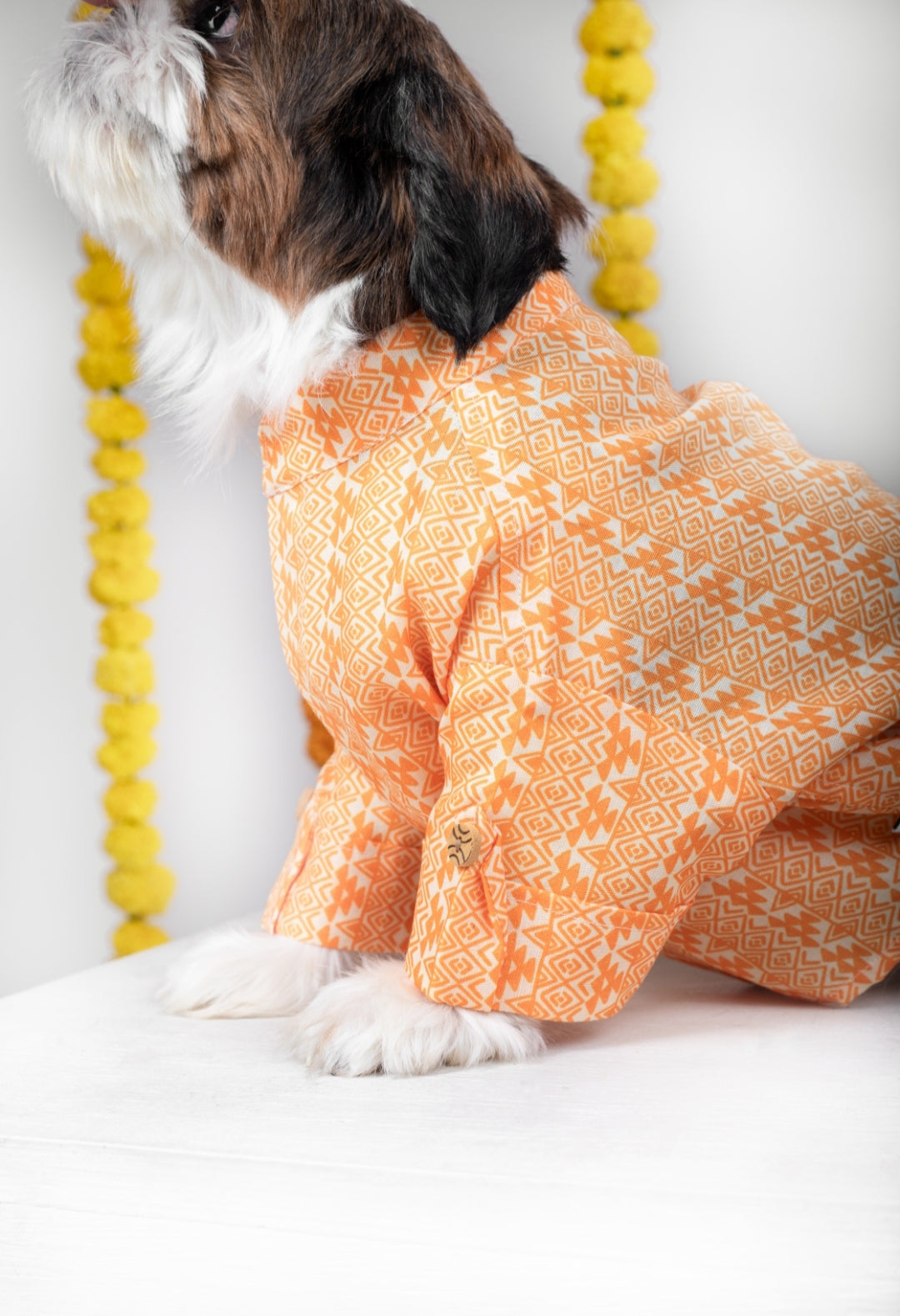 15 Furries Haldi Dog Kurta