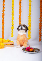 15 Furries Haldi Dog Kurta
