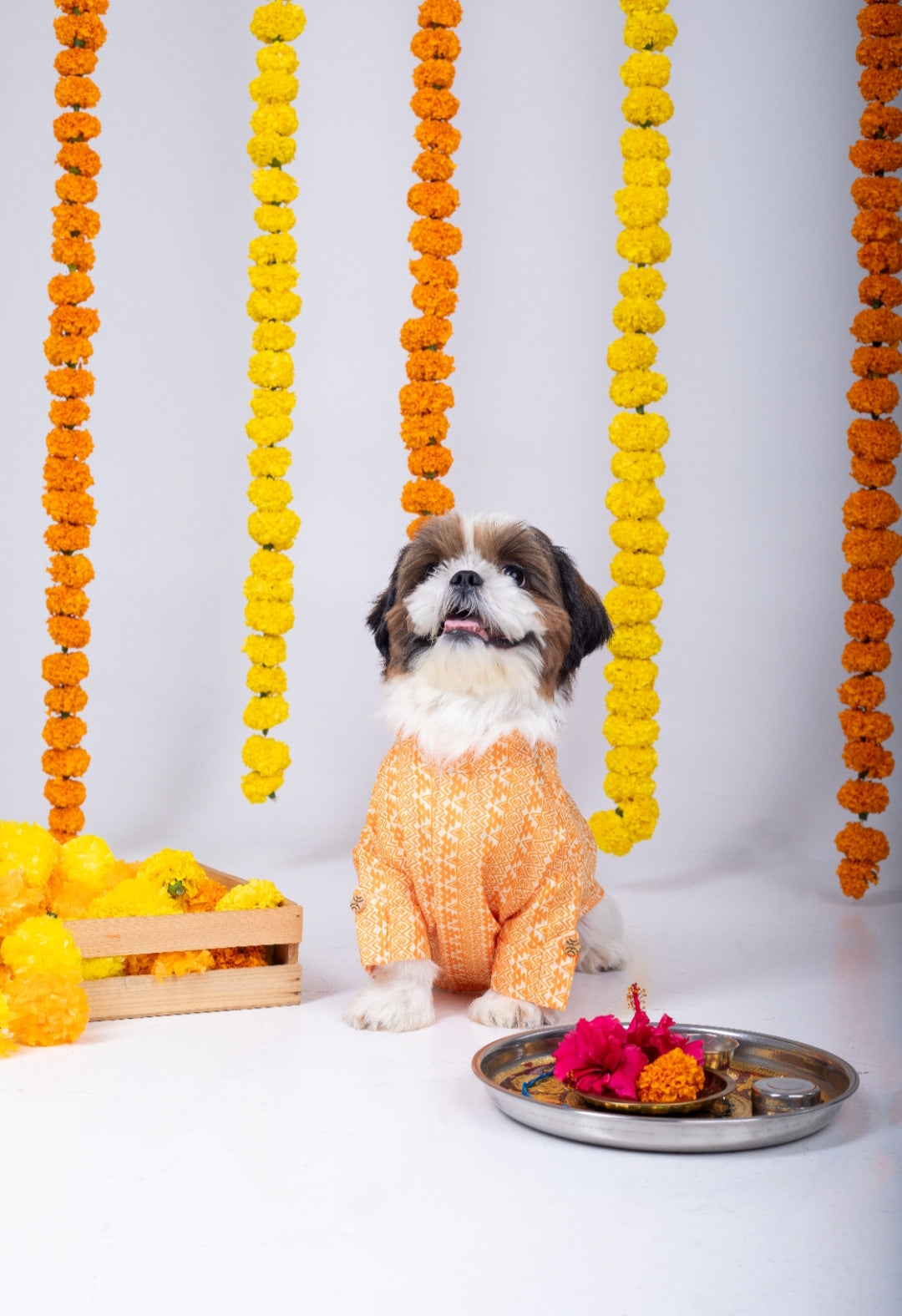 15 Furries Haldi Dog Kurta