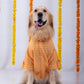 15 Furries Haldi Dog Kurta