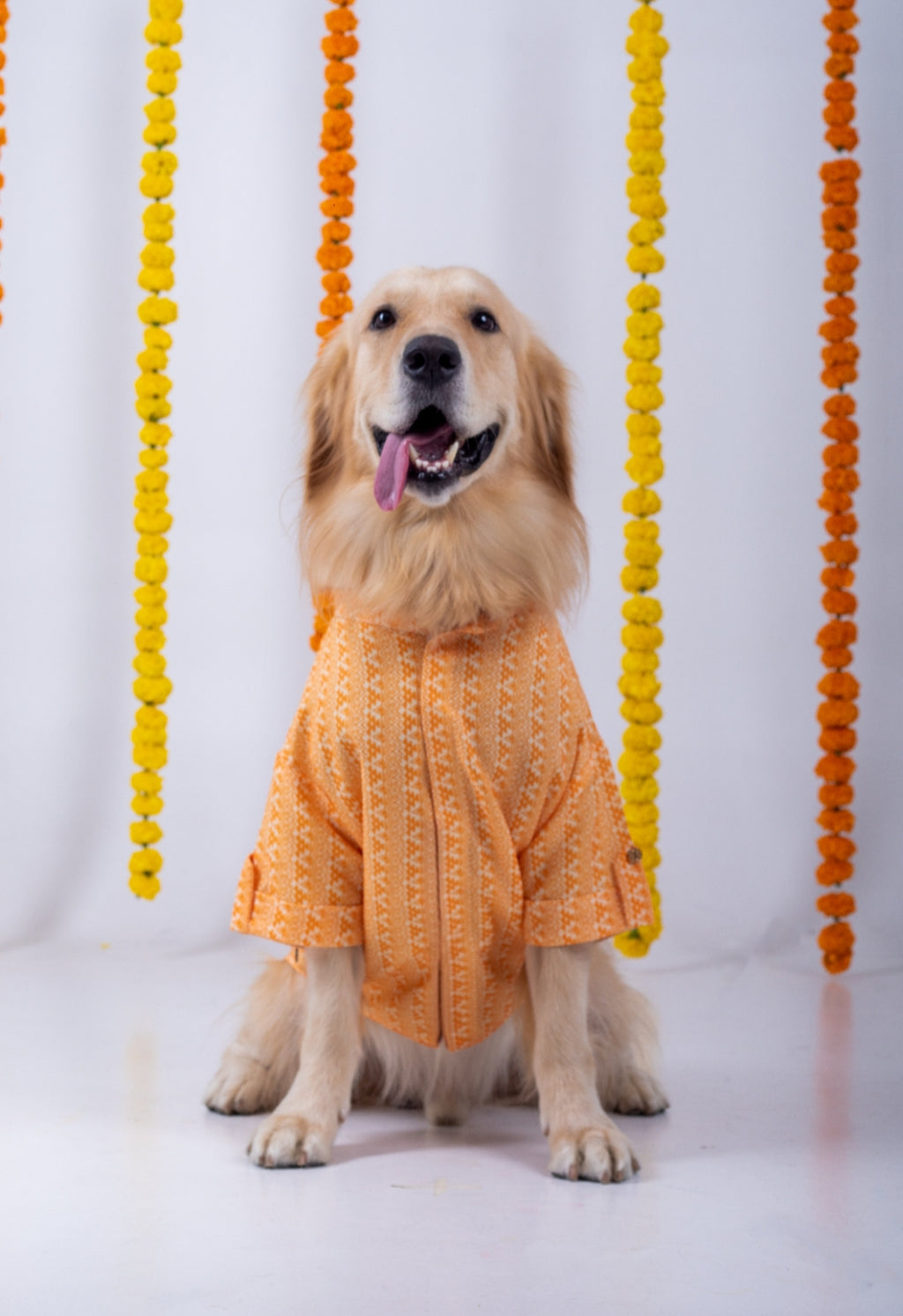 15 Furries Haldi Dog Kurta