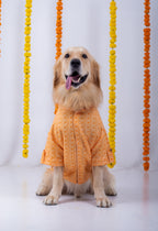 15 Furries Haldi Dog Kurta