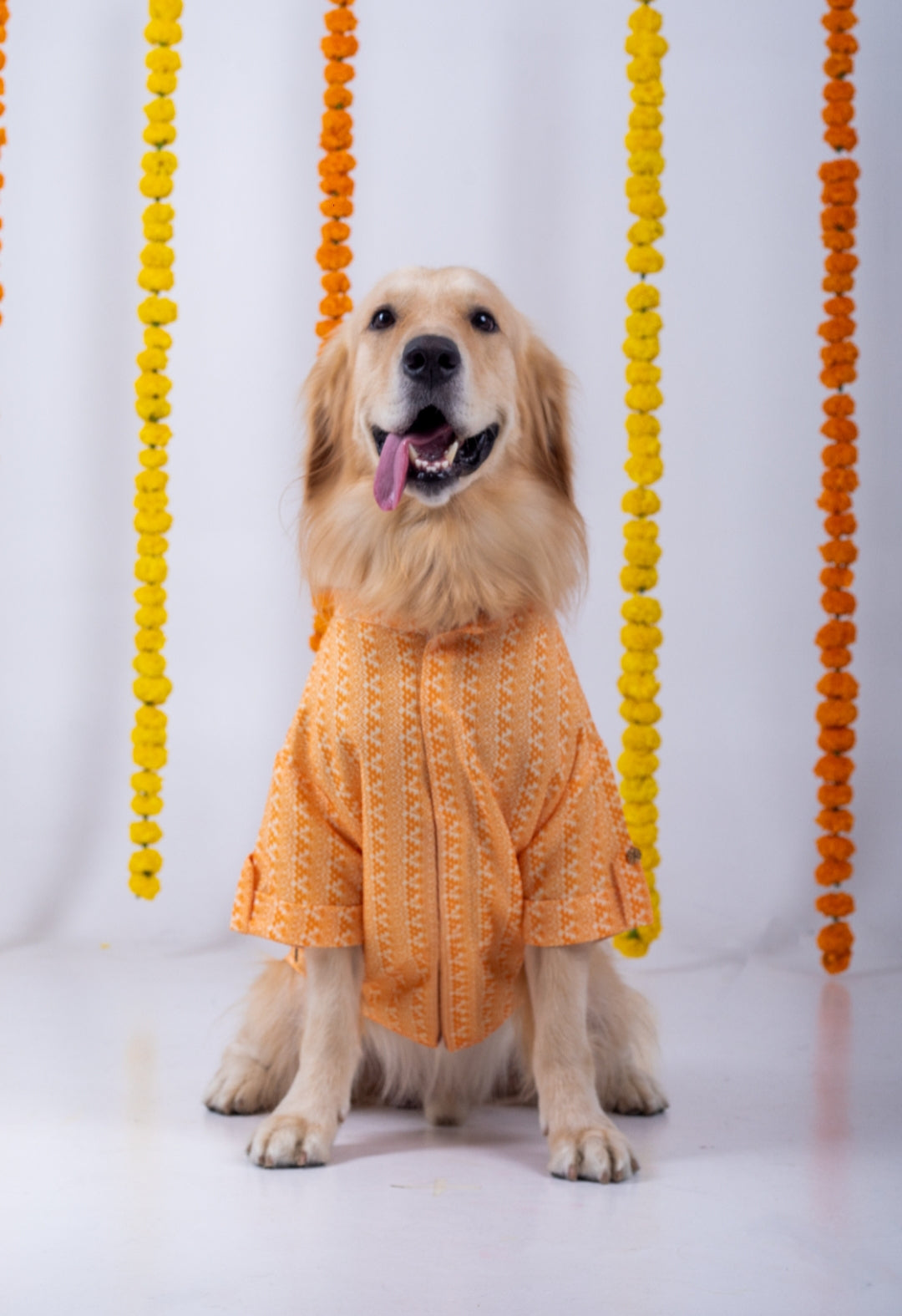 15 Furries Haldi Dog Kurta