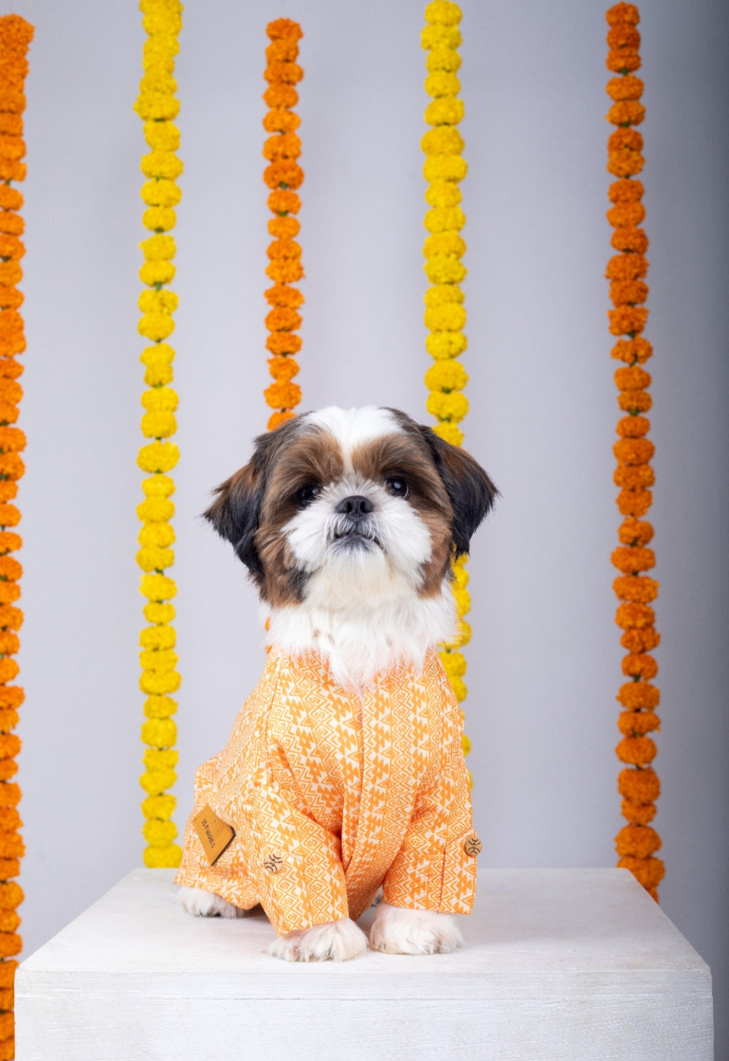 15 Furries Haldi Dog Kurta