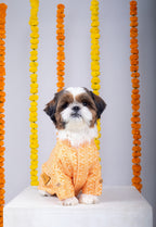 15 Furries Haldi Dog Kurta
