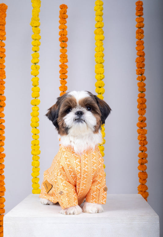 15 Furries Haldi Dog Kurta