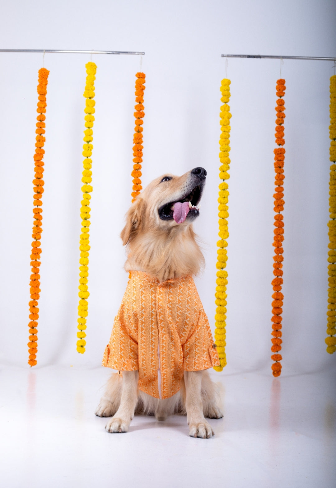 15 Furries Haldi Dog Kurta