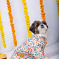 15 Furries Rangeela Dog Kurta
