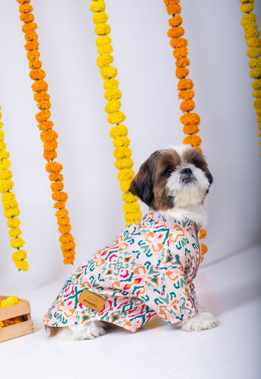 15 Furries Rangeela Dog Kurta