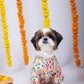 15 Furries Rangeela Dog Kurta