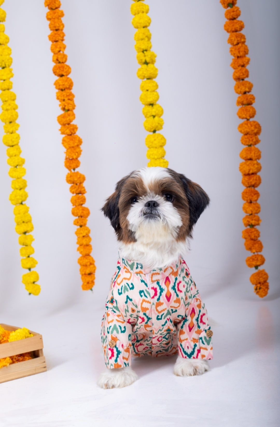 15 Furries Rangeela Dog Kurta