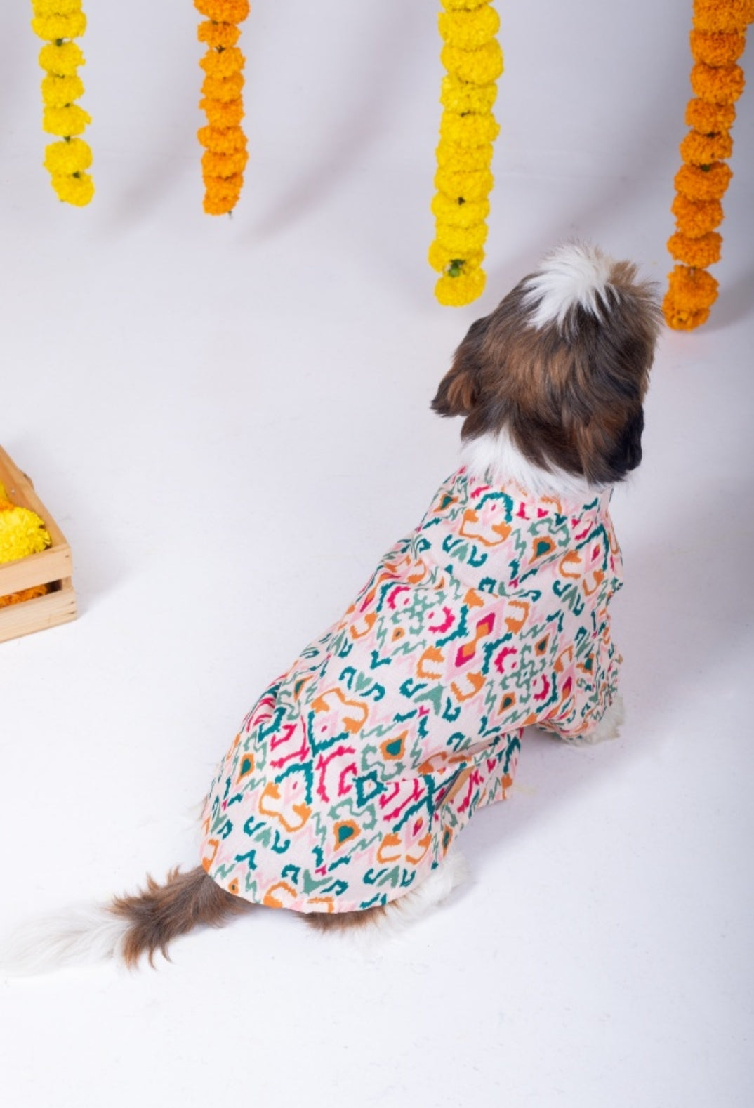 15 Furries Rangeela Dog Kurta