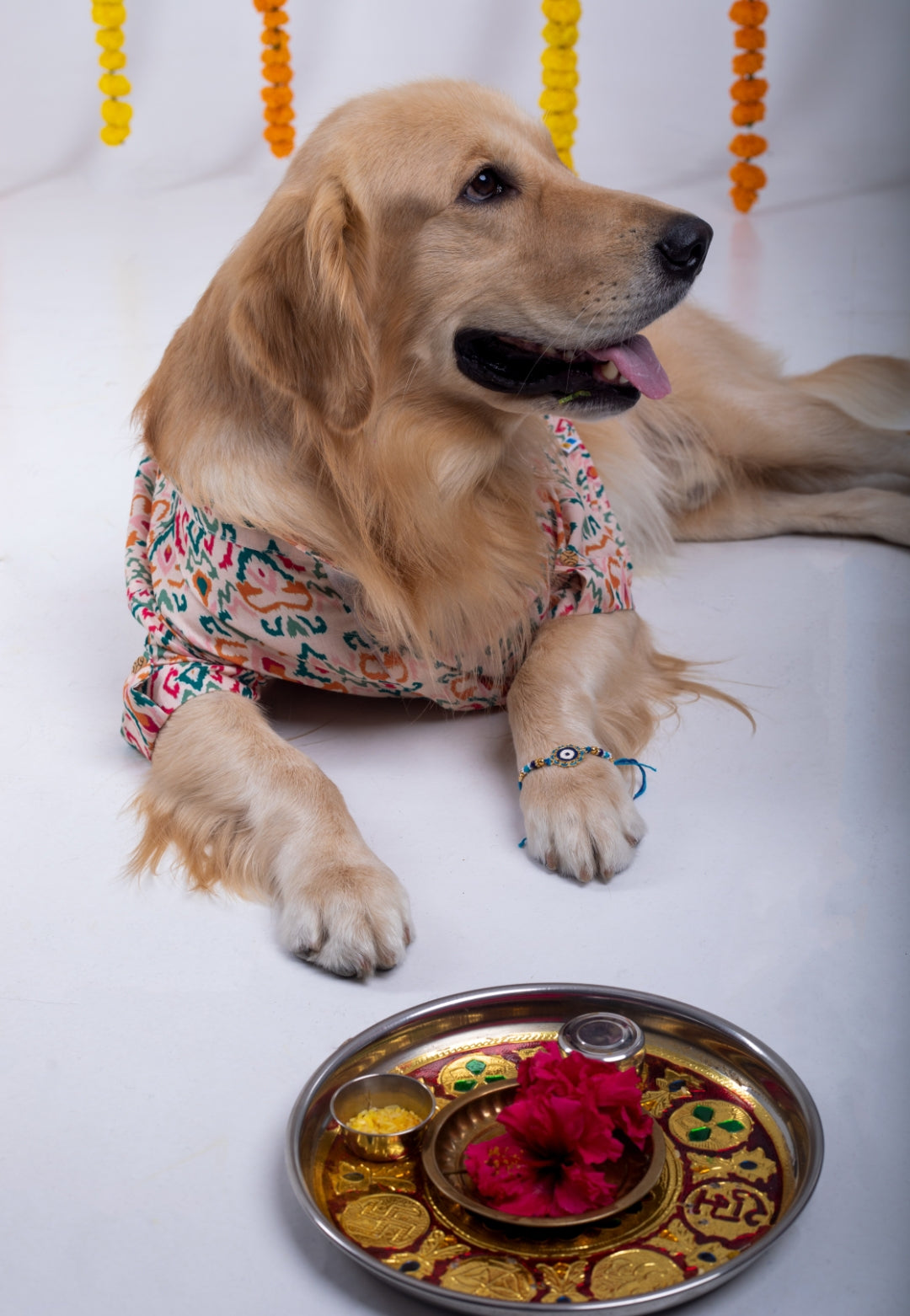 15 Furries Rangeela Dog Kurta