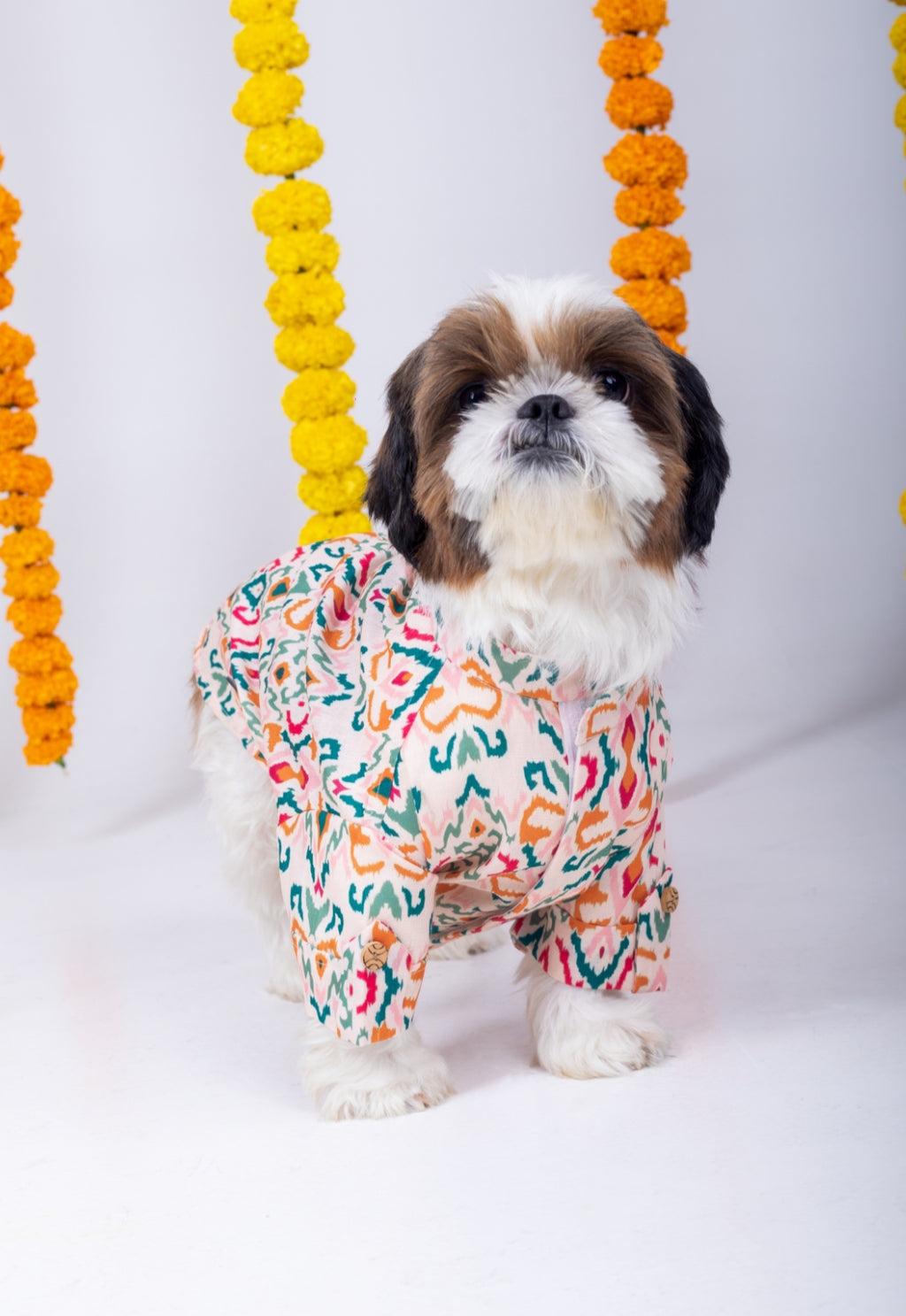 15 Furries Rangeela Dog Kurta