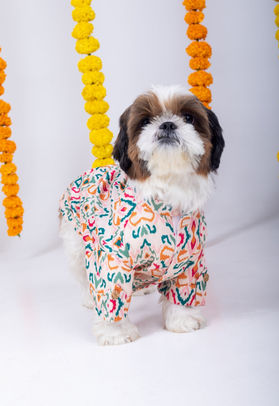 15 Furries Rangeela Dog Kurta