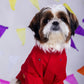 15 Furries Electric Red Mirrorwork Dog Kurta