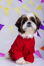 15 Furries Electric Red Mirrorwork Dog Kurta