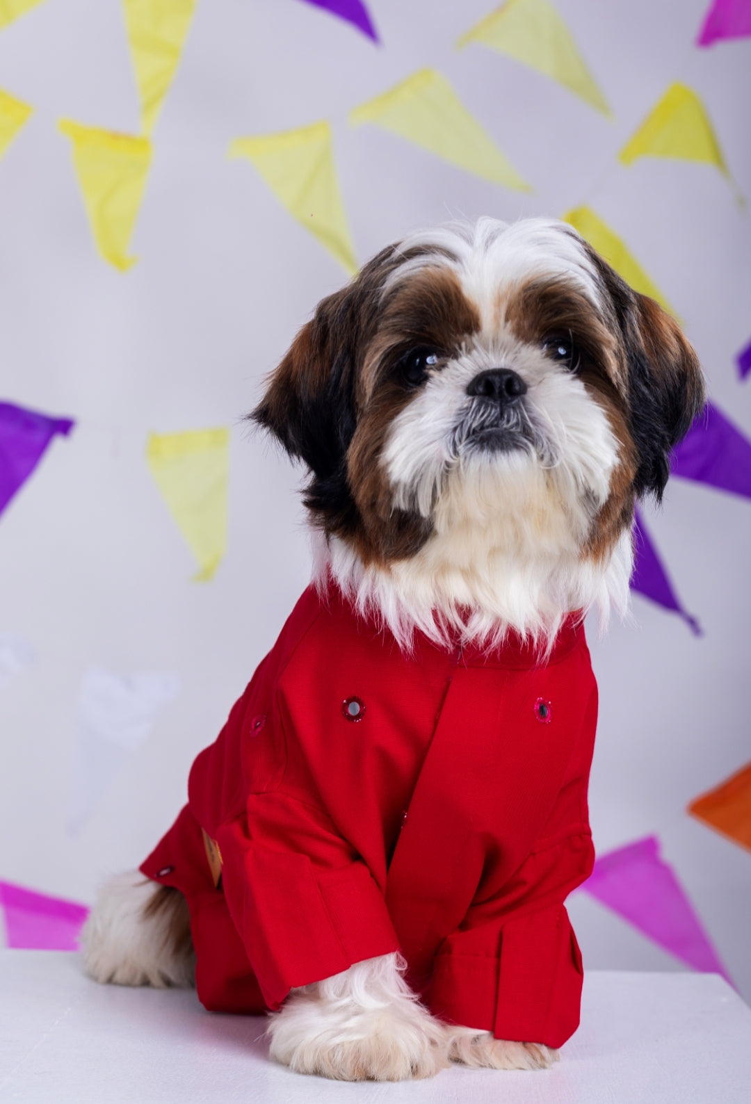 15 Furries Electric Red Mirrorwork Dog Kurta