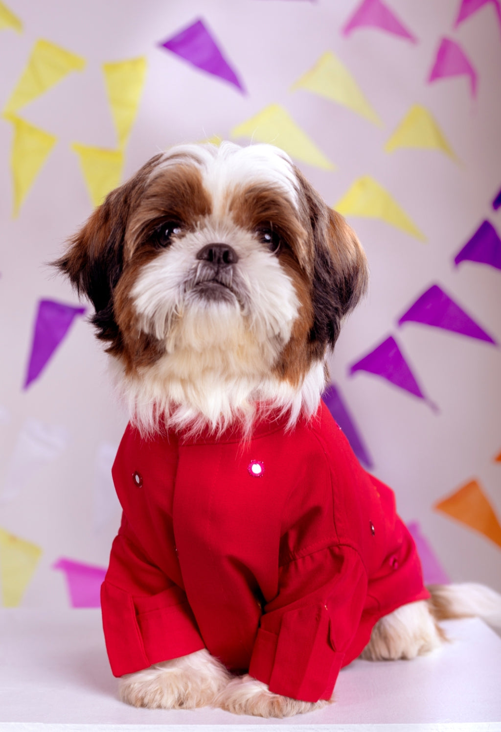15 Furries Electric Red Mirrorwork Dog Kurta