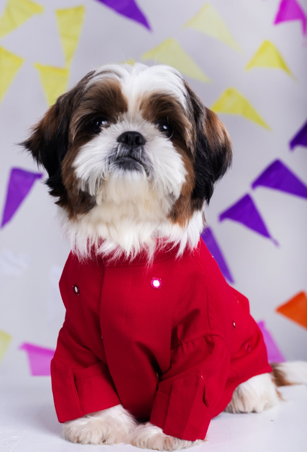 15 Furries Electric Red Mirrorwork Dog Kurta