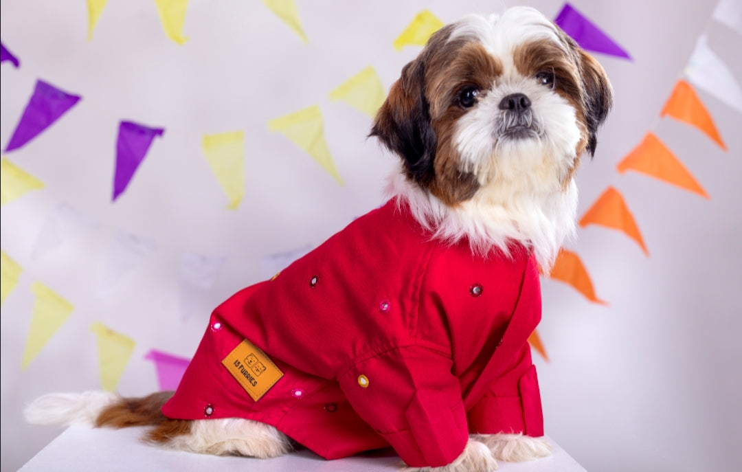 15 Furries Electric Red Mirrorwork Dog Kurta