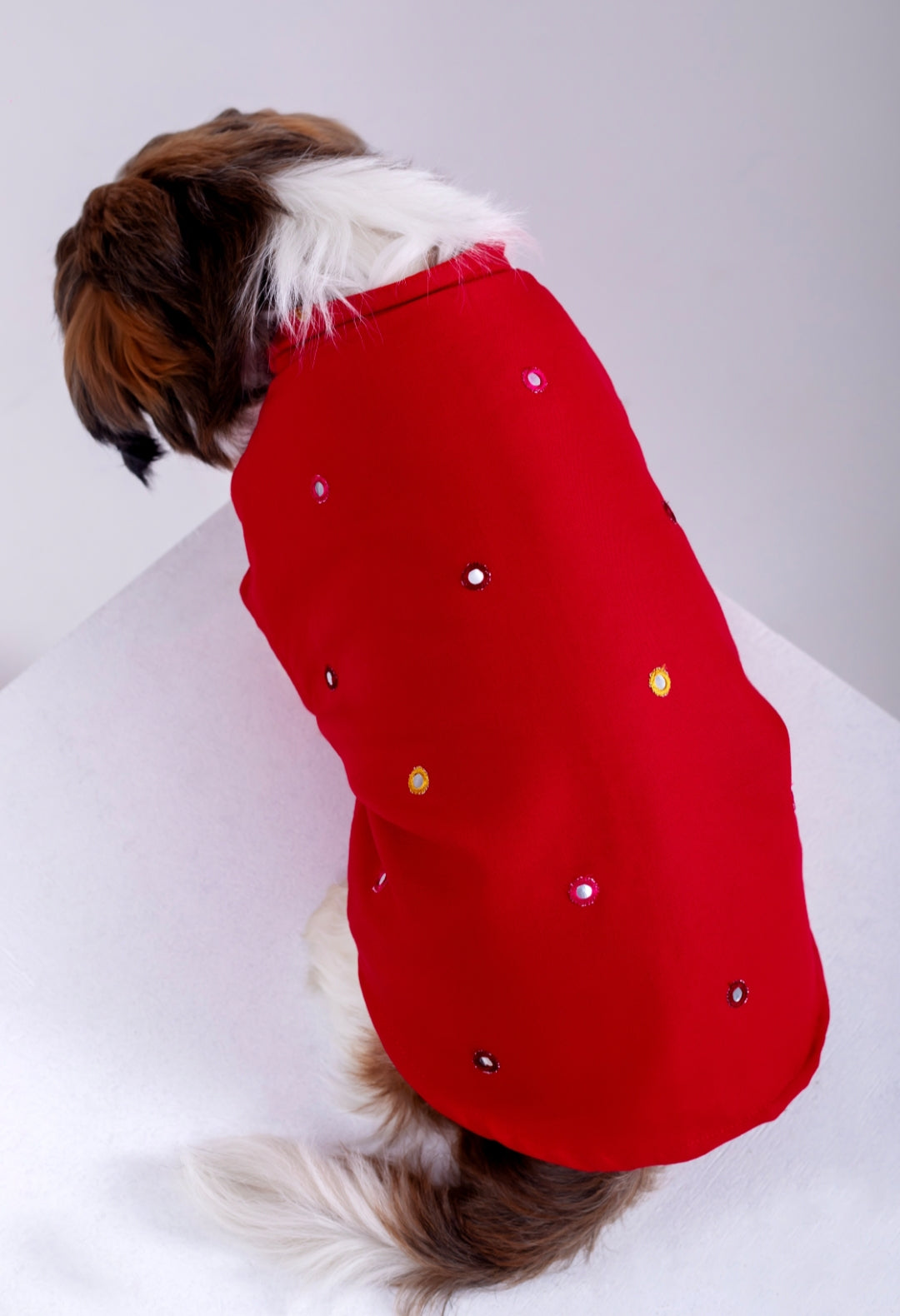 15 Furries Electric Red Mirrorwork Dog Kurta