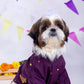 15 Furries Purple Wine Mirrorwork Dog Kurta