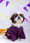 15 Furries Purple Wine Mirrorwork Dog Kurta