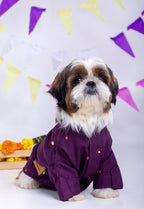 15 Furries Purple Wine Mirrorwork Dog Kurta