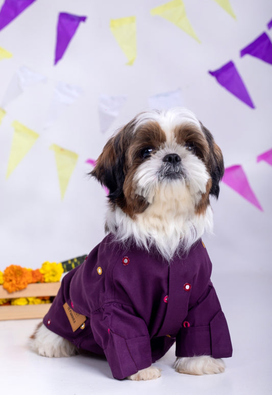 15 Furries Purple Wine Mirrorwork Dog Kurta
