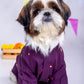 15 Furries Purple Wine Mirrorwork Dog Kurta
