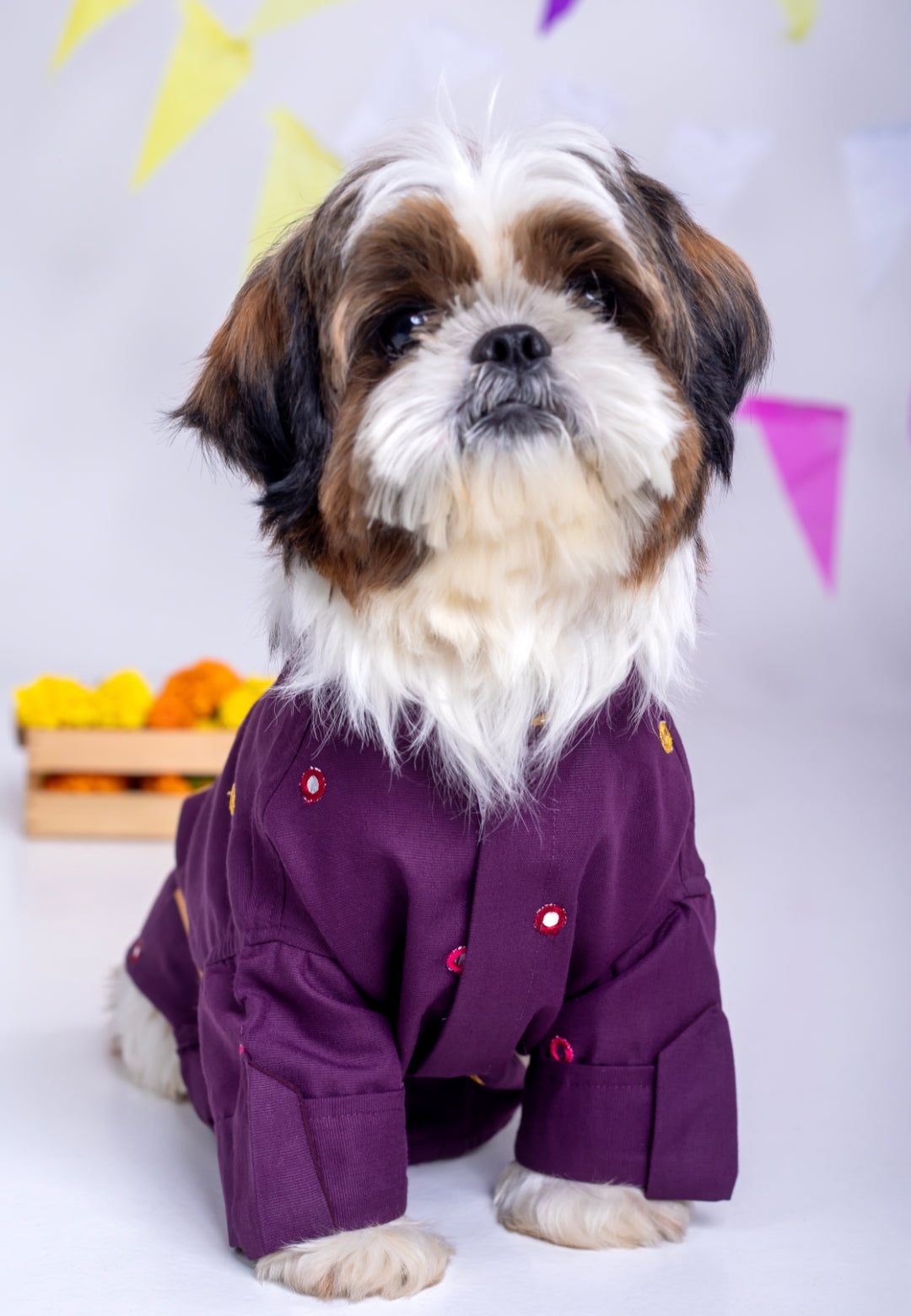 15 Furries Purple Wine Mirrorwork Dog Kurta