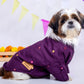 15 Furries Purple Wine Mirrorwork Dog Kurta