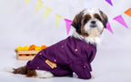 15 Furries Purple Wine Mirrorwork Dog Kurta