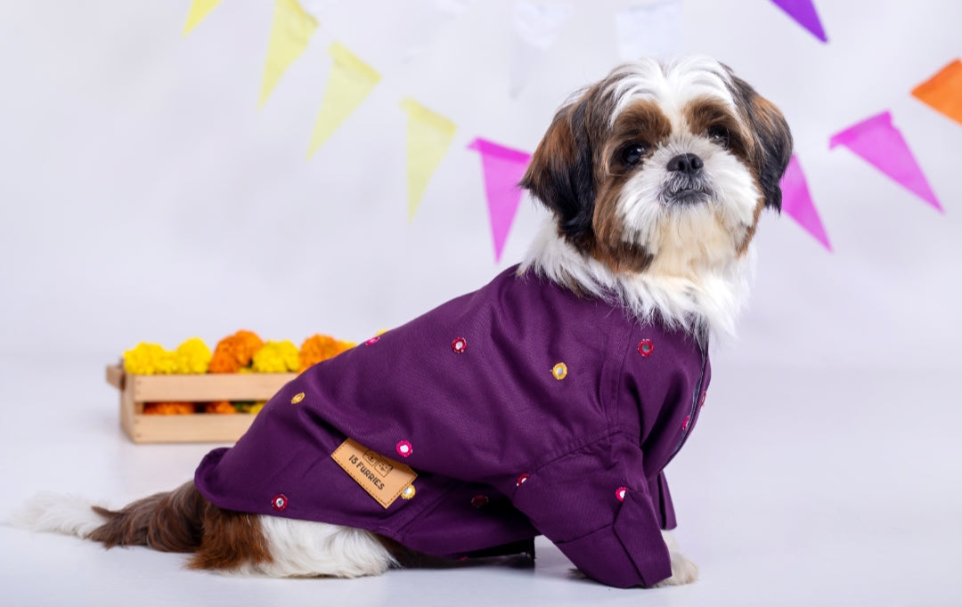 15 Furries Purple Wine Mirrorwork Dog Kurta