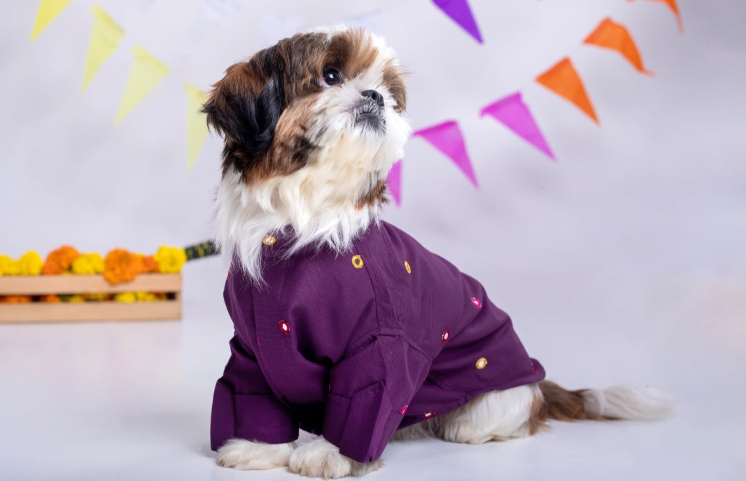 15 Furries Purple Wine Mirrorwork Dog Kurta